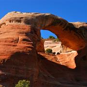 Discover Arches in McInnes Canyon