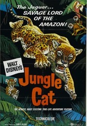 Jungle Cat (1959)