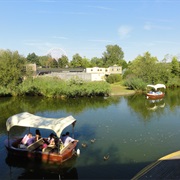 Gold River Adventure