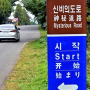 Jeju Mysterious Road