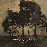 Just Like I Remember - Bleed the Dream