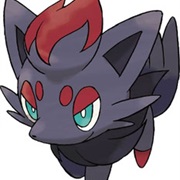 Zorua