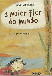 A Maior Flor Do Mundo 2001