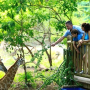 Casela Nature Park, Mauritius