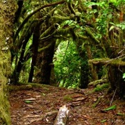 Hobbit Trail, Oregon - Mile Marker 177 on U.S. Highway 101.