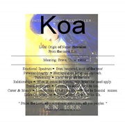 Koa