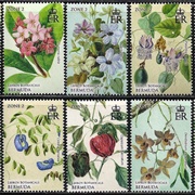 Bermuda~~Lefroy Botanicals