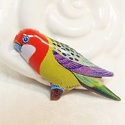 Parakeet
