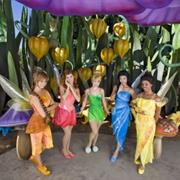 Pixie Hollow