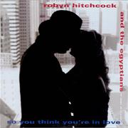 "So You Think You're in Love" - Robyn Hitchcock