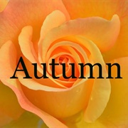 Autumn