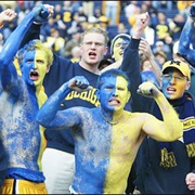 A Michigan Wolverines Fan