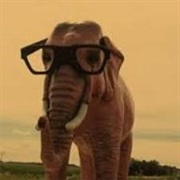 Intelligent Elephant