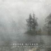 Peter Bjärgö - Animus Retinentia