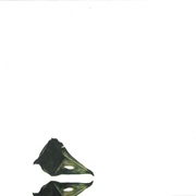 Coil - The New Backwards