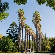 Jardim Botânico Tropical