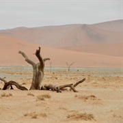Sossusvlei