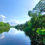 Pine Island State Forest, Minnesota
