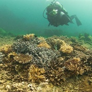 Diving in Serasa Beach Brunei