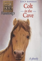 Colt in the Cave (Animal Ark Hauntings, #4) (Lucy Daniels)