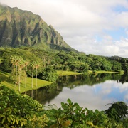 Ho'omaluhia Botanical Garden