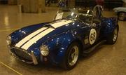 Cobra Shelby
