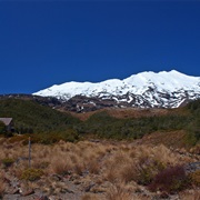 Whakapapeiti Track