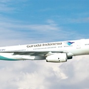 Garuda Indonesia (Indonesia)