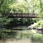 Medoc Mountain State Park, North Carolina