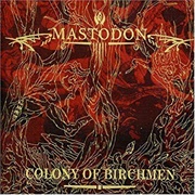 Colony of Birchmen  - Mastodon