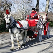 Take a Carriage Ride Through Central Park