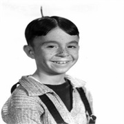 Alfalfa