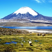 Chile: Ojos Del Salado (22,615 Ft)