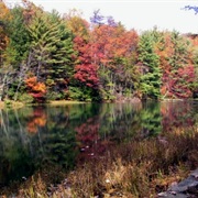 Chattahoochee-Oconee National Forest