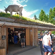 Visit Coombs Country Market, BC