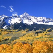 Uncompahgre National Forest