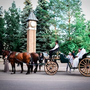 Horsedrawn Carriage Ride Down Spadina