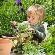 Gardening