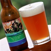 To Øl Dangerously Close to Stupid