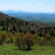 Grayson Highlands State Park, Virginia