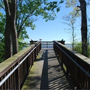 Grand Cote National Wildlife Refuge