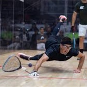 International Racquetball Tour