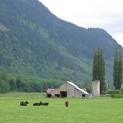 Marblemount, Washington