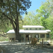 Ramsey Canyon Preserve, AZ