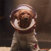 Fred - Cosmo the Space Dog