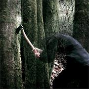 Baptists - Bushcraft