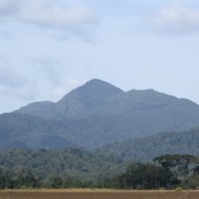 Liberia: Mount Wuteve (4,724 Ft)