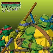 Teenage Mutant Ninja Turtles (2000s)