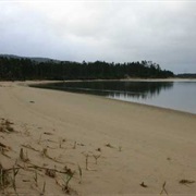 Clay Myers State Natural Area at Whalen Island, Oregon