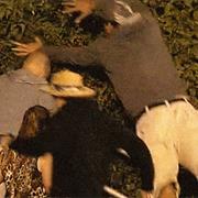 Got Caught Up in the Moment